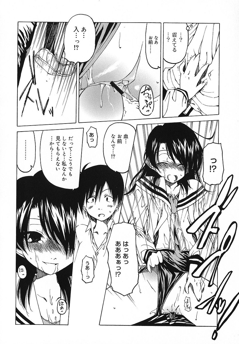 [ベンジャミン] だって好きだもの