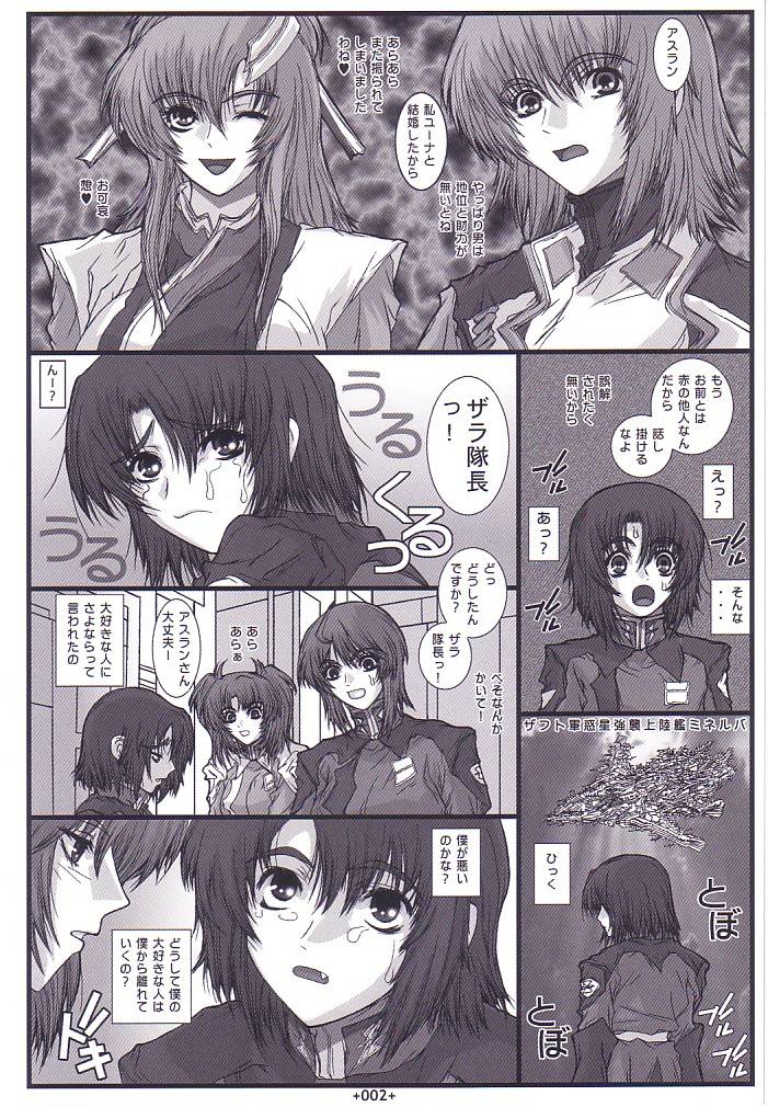 (C68) [コブラーメンマン (うっひー)] SD3 (機動戦士ガンダムSEED Destiny)
