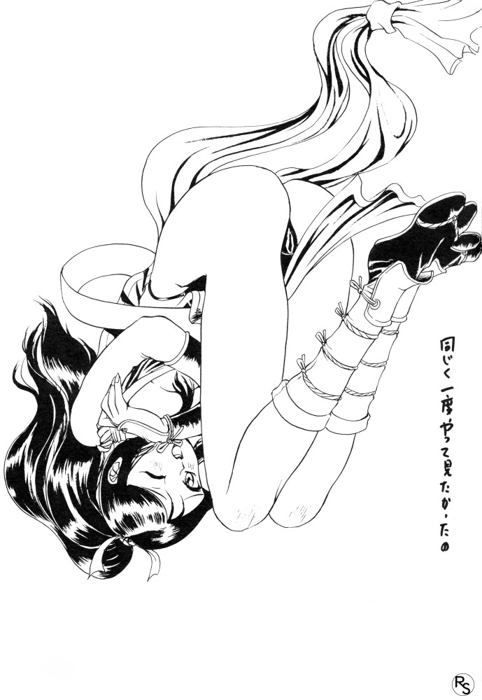 [ちゃちゃちゃぶらざーず, るぴなす盗賊団 (よこやまちちゃ)] 銀鈴本 VI (ジャイアントロボ)