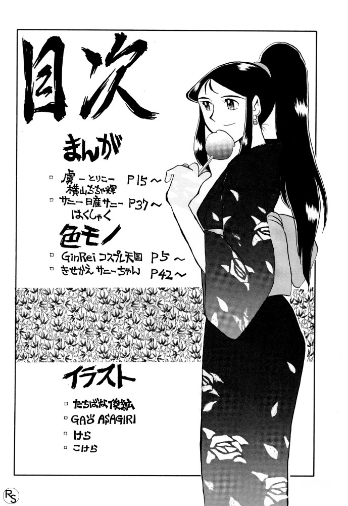 [ちゃちゃちゃぶらざーず, るぴなす盗賊団 (よこやまちちゃ)] 銀鈴本 VI (ジャイアントロボ)