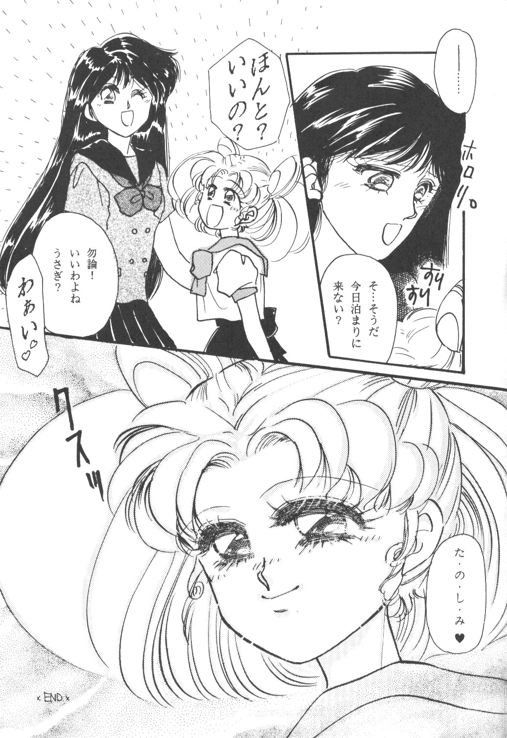 ちびうさ【美少女戦士セーラームーン】
