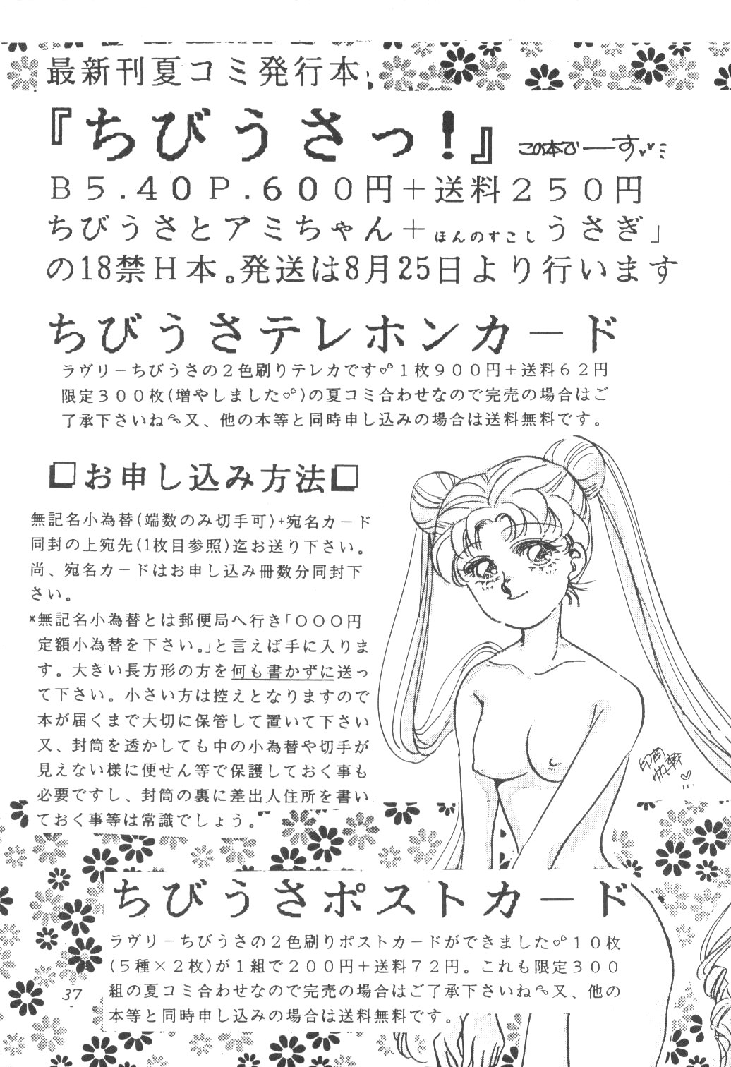 ちびうさ【美少女戦士セーラームーン】