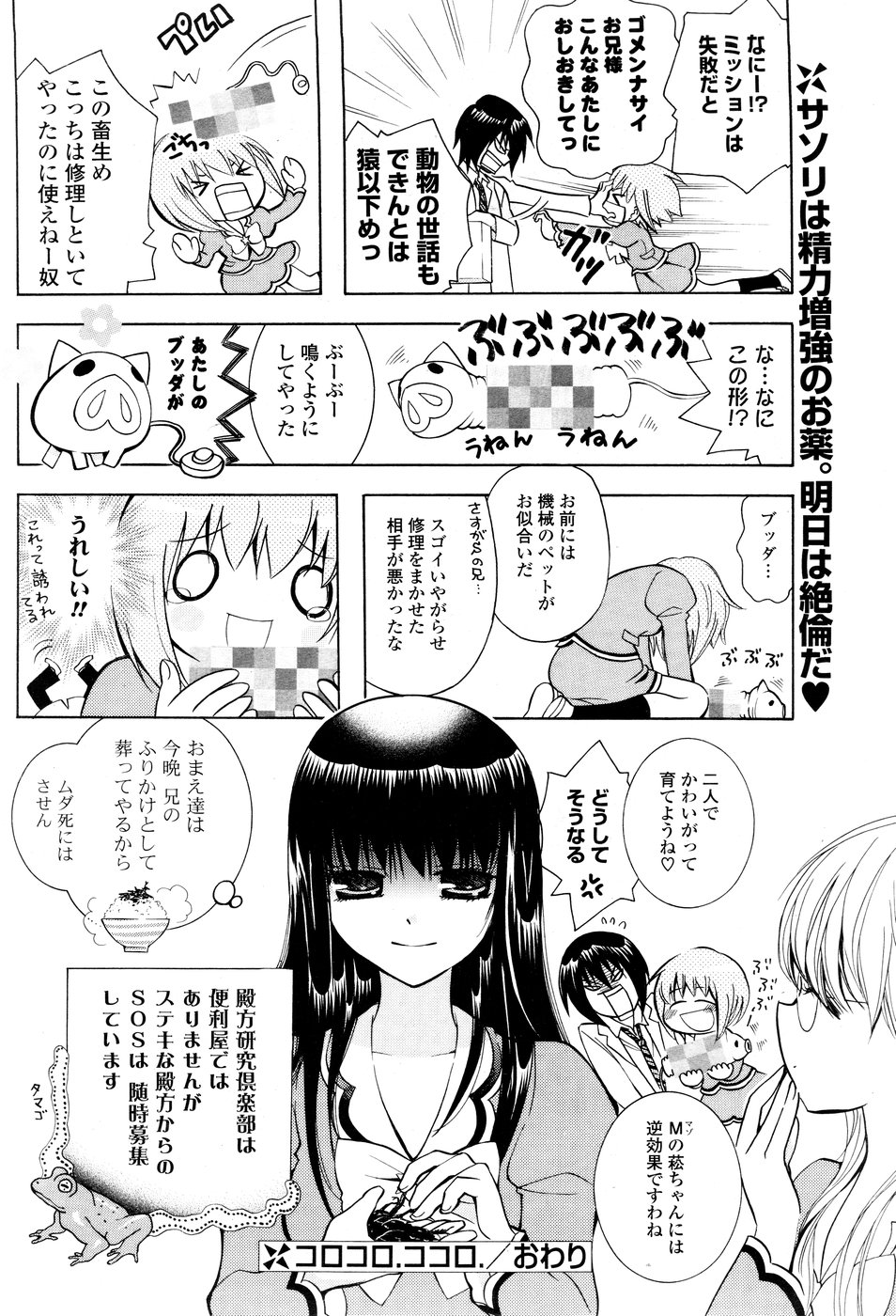 COMIC ポプリクラブ 2008年12月号