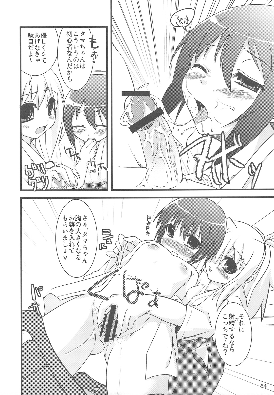 (C75) [六道塾 (こうきくう)] 猫盛II (よろず)