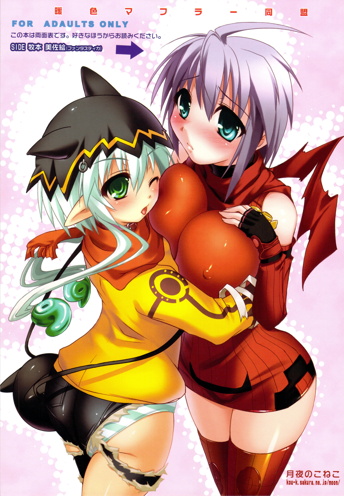 (C75) [六道塾 (こうきくう)] 猫盛II (よろず)