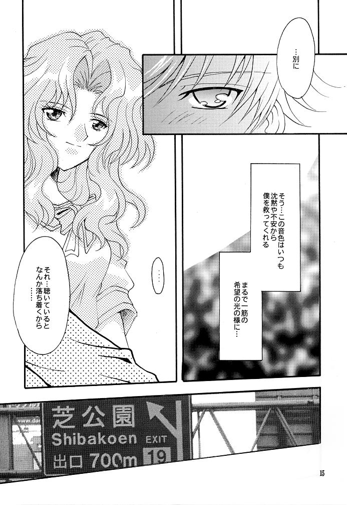 (C66) [小鳥事務所 (桜文鳥)] この生命誰のもの (セーラームーン)