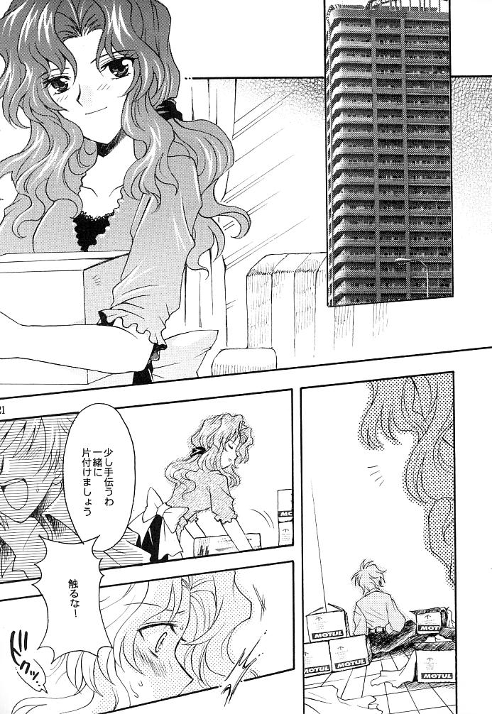 (C66) [小鳥事務所 (桜文鳥)] この生命誰のもの (セーラームーン)