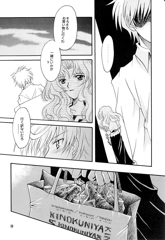 (C66) [小鳥事務所 (桜文鳥)] この生命誰のもの (セーラームーン)