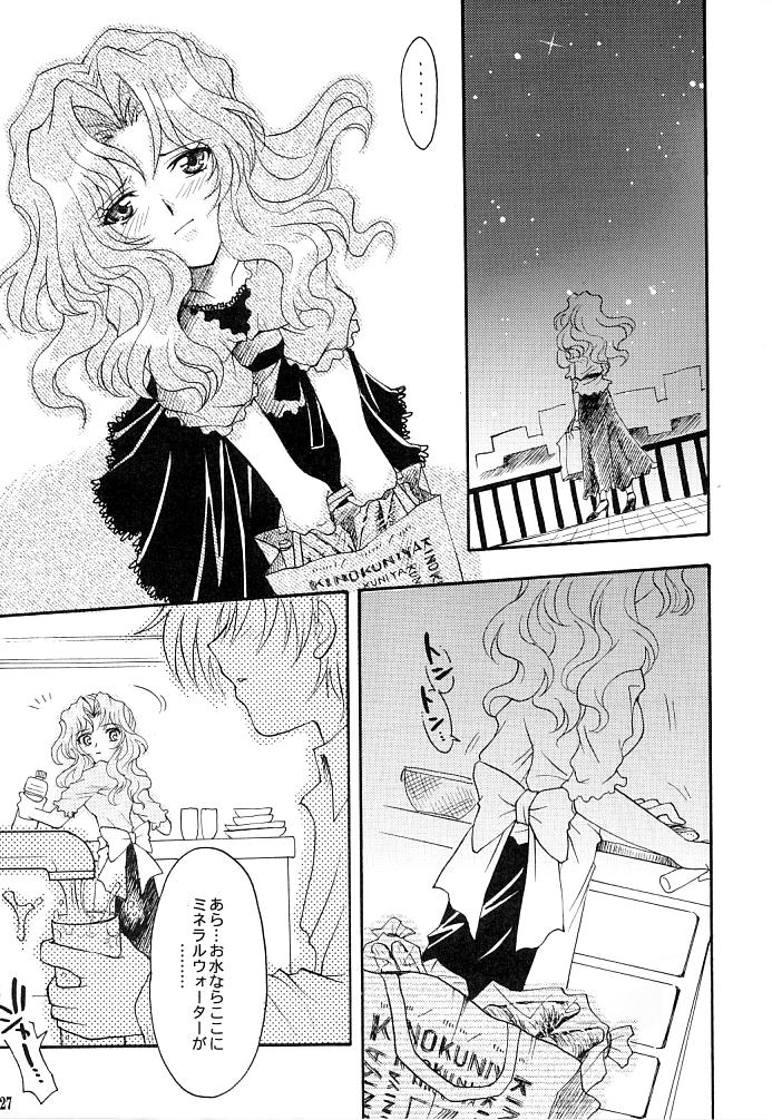 (C66) [小鳥事務所 (桜文鳥)] この生命誰のもの (セーラームーン)