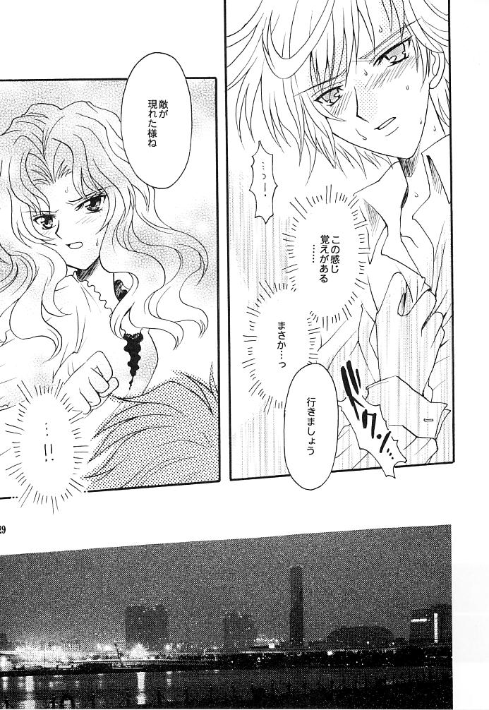(C66) [小鳥事務所 (桜文鳥)] この生命誰のもの (セーラームーン)
