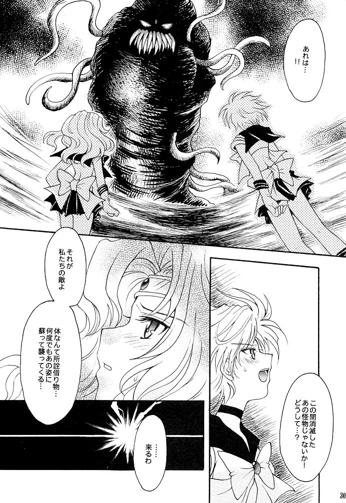 (C66) [小鳥事務所 (桜文鳥)] この生命誰のもの (セーラームーン)