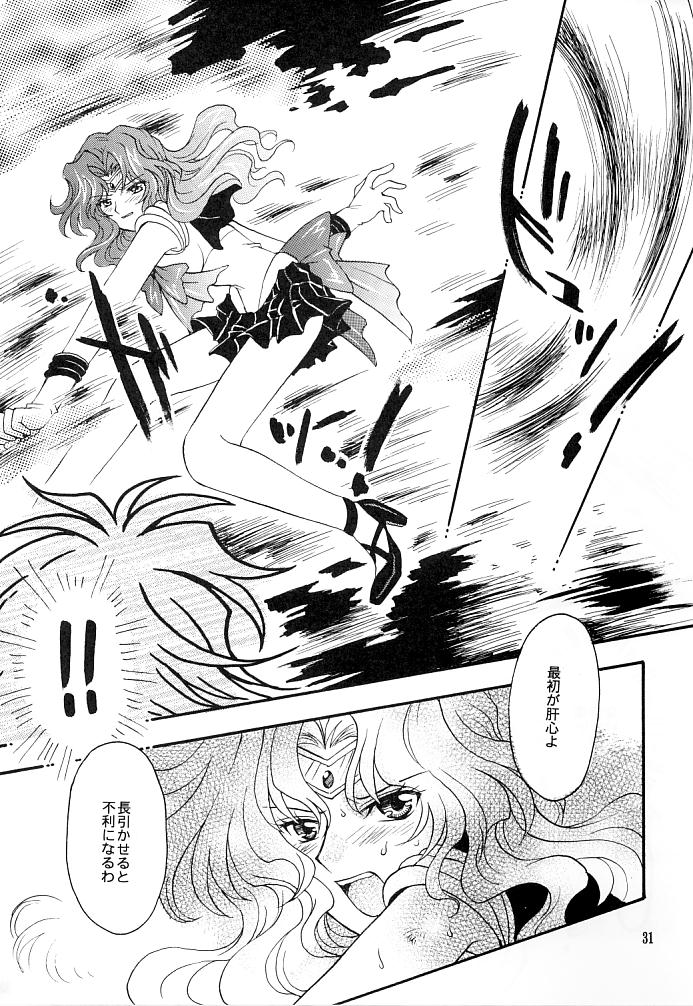 (C66) [小鳥事務所 (桜文鳥)] この生命誰のもの (セーラームーン)