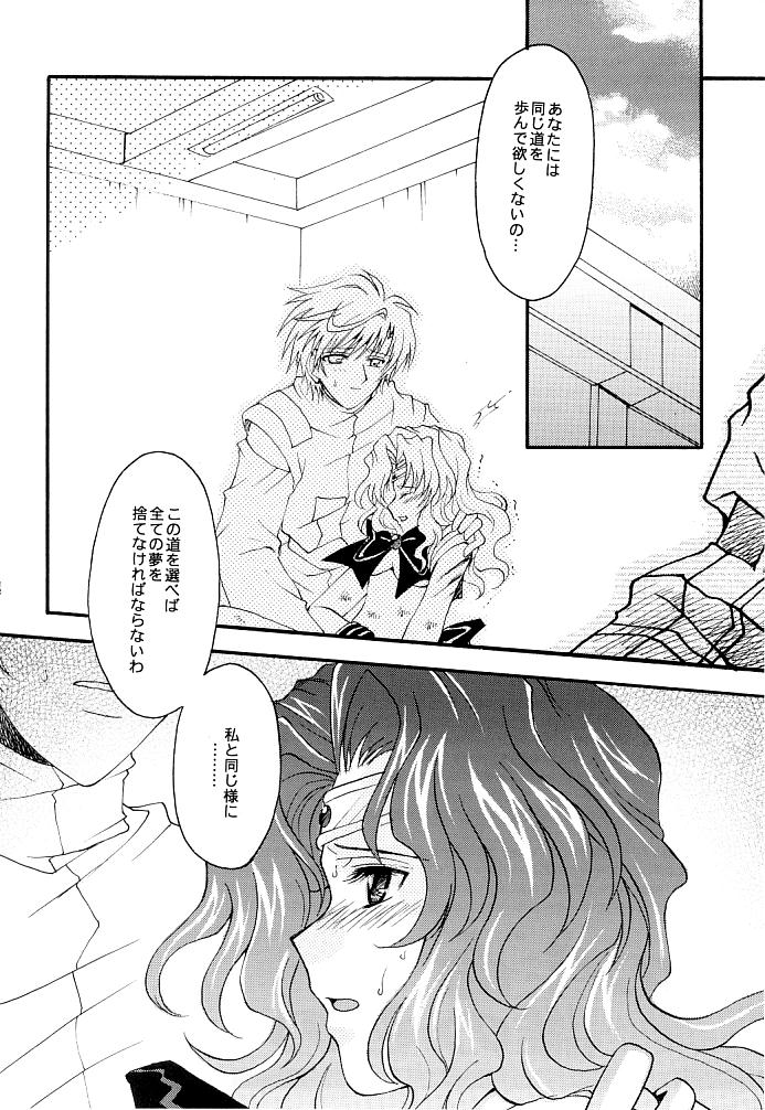 (C66) [小鳥事務所 (桜文鳥)] この生命誰のもの (セーラームーン)