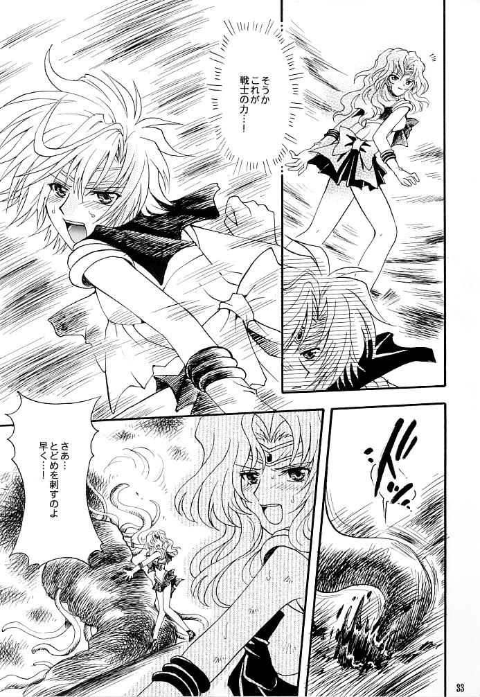 (C66) [小鳥事務所 (桜文鳥)] この生命誰のもの (セーラームーン)
