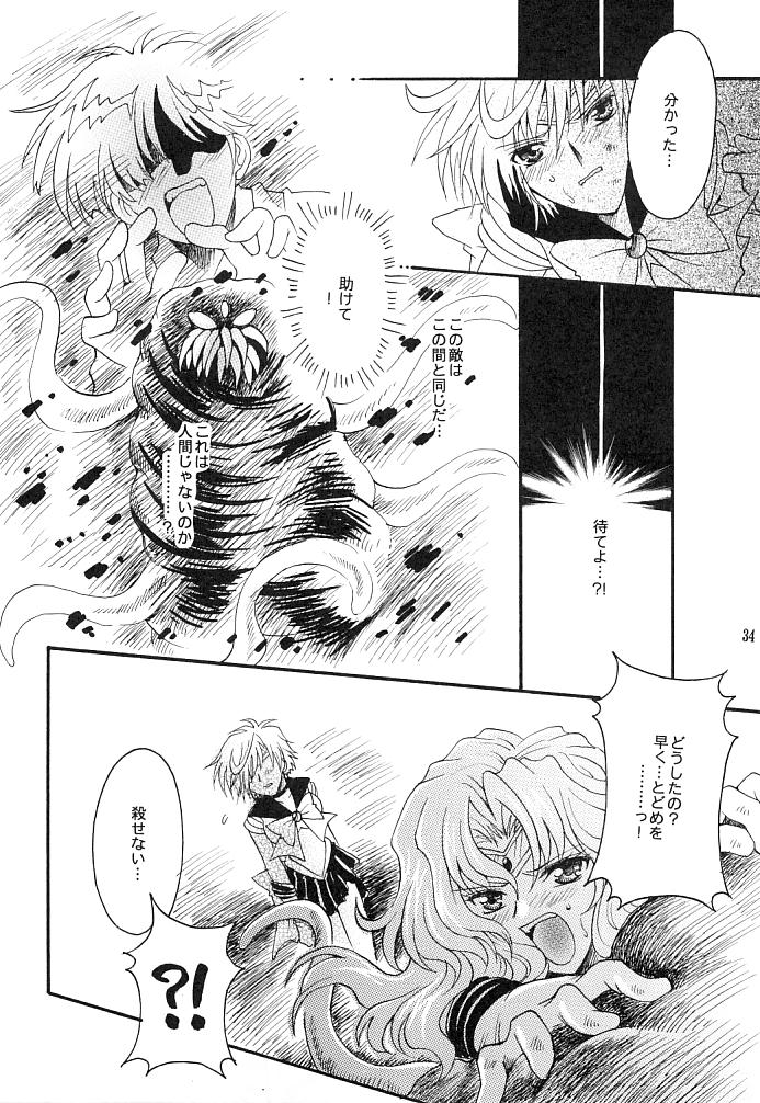 (C66) [小鳥事務所 (桜文鳥)] この生命誰のもの (セーラームーン)