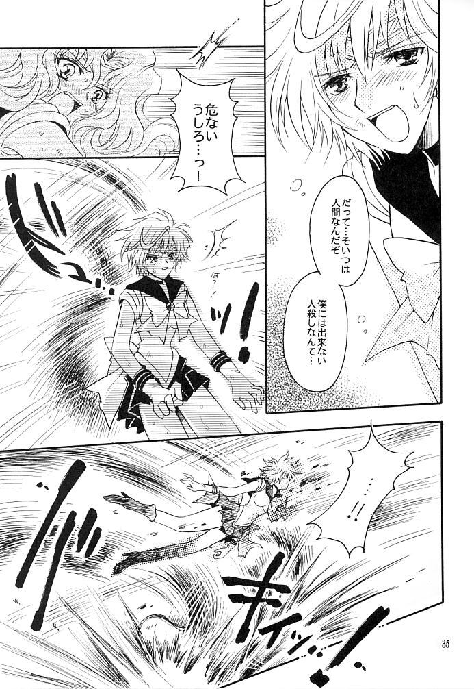 (C66) [小鳥事務所 (桜文鳥)] この生命誰のもの (セーラームーン)