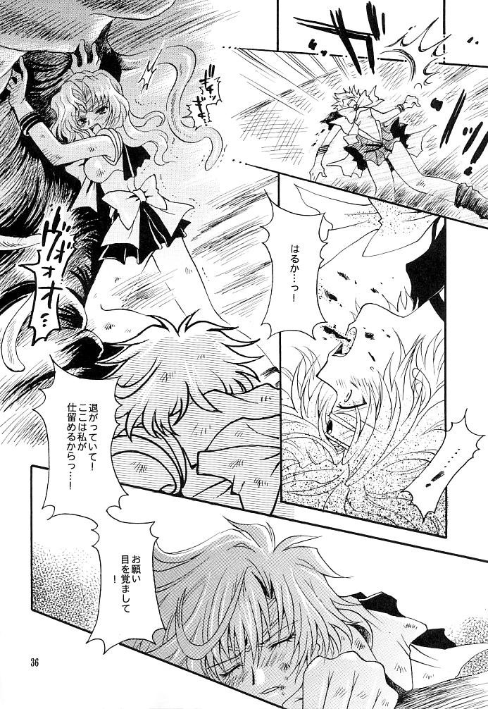 (C66) [小鳥事務所 (桜文鳥)] この生命誰のもの (セーラームーン)