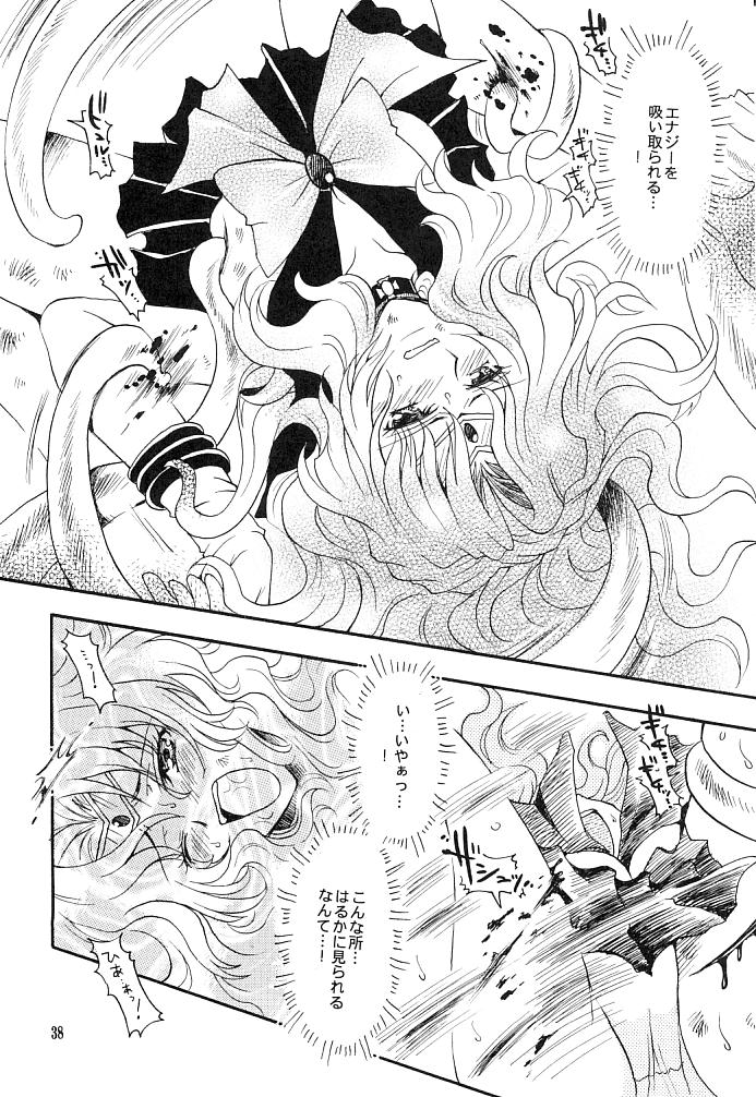 (C66) [小鳥事務所 (桜文鳥)] この生命誰のもの (セーラームーン)