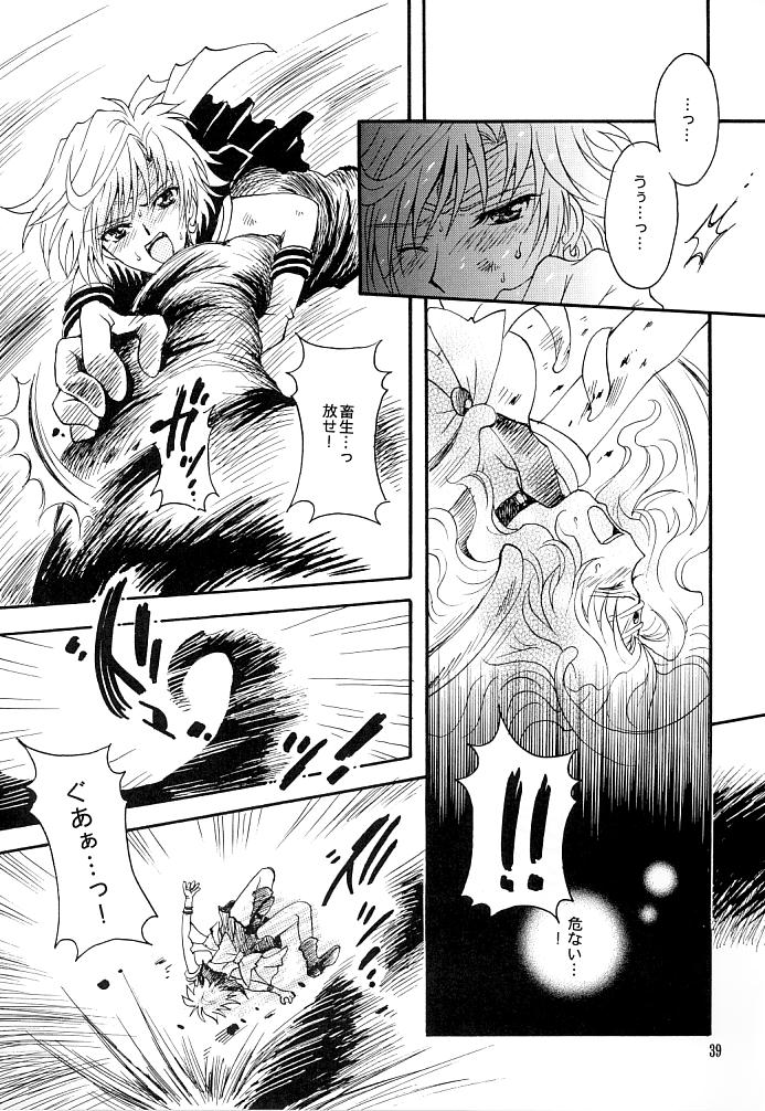 (C66) [小鳥事務所 (桜文鳥)] この生命誰のもの (セーラームーン)