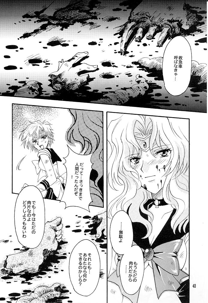 (C66) [小鳥事務所 (桜文鳥)] この生命誰のもの (セーラームーン)