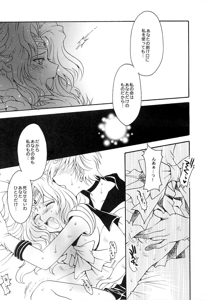 (C66) [小鳥事務所 (桜文鳥)] この生命誰のもの (セーラームーン)