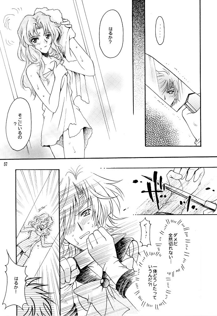 (C66) [小鳥事務所 (桜文鳥)] この生命誰のもの (セーラームーン)