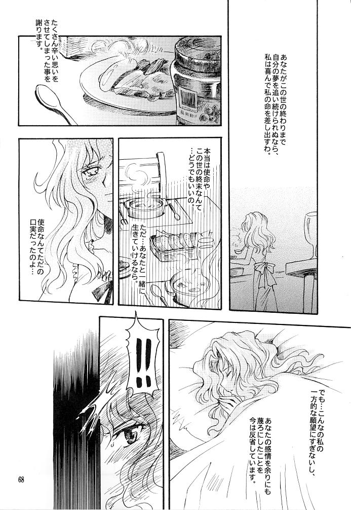 (C66) [小鳥事務所 (桜文鳥)] この生命誰のもの (セーラームーン)