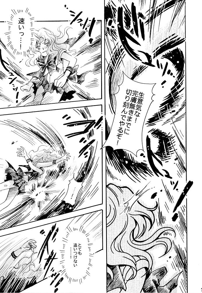 (C66) [小鳥事務所 (桜文鳥)] この生命誰のもの (セーラームーン)