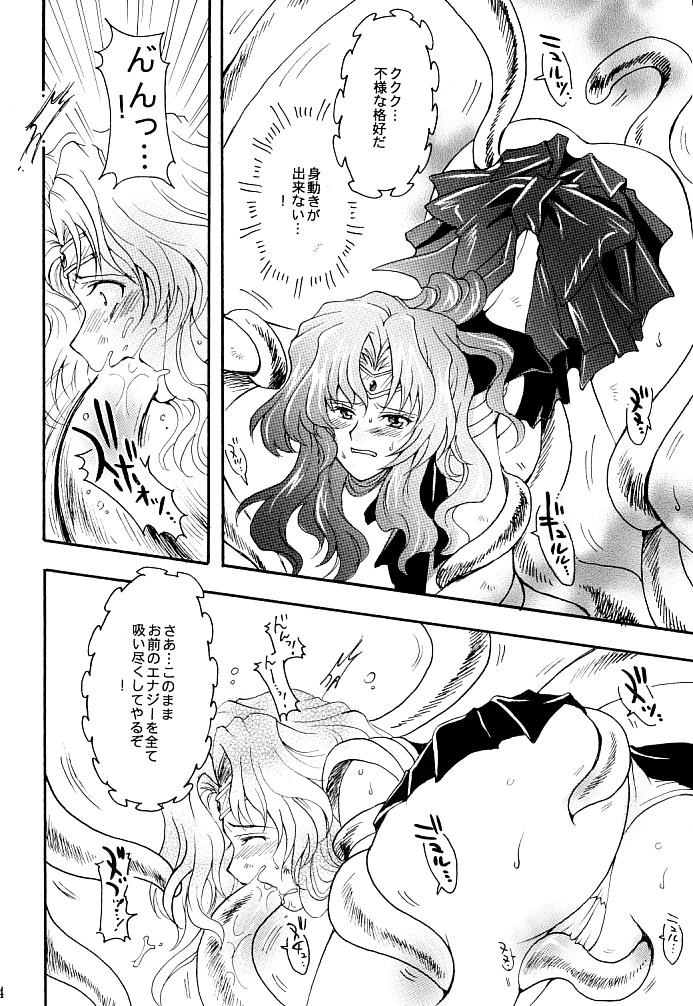 (C66) [小鳥事務所 (桜文鳥)] この生命誰のもの (セーラームーン)