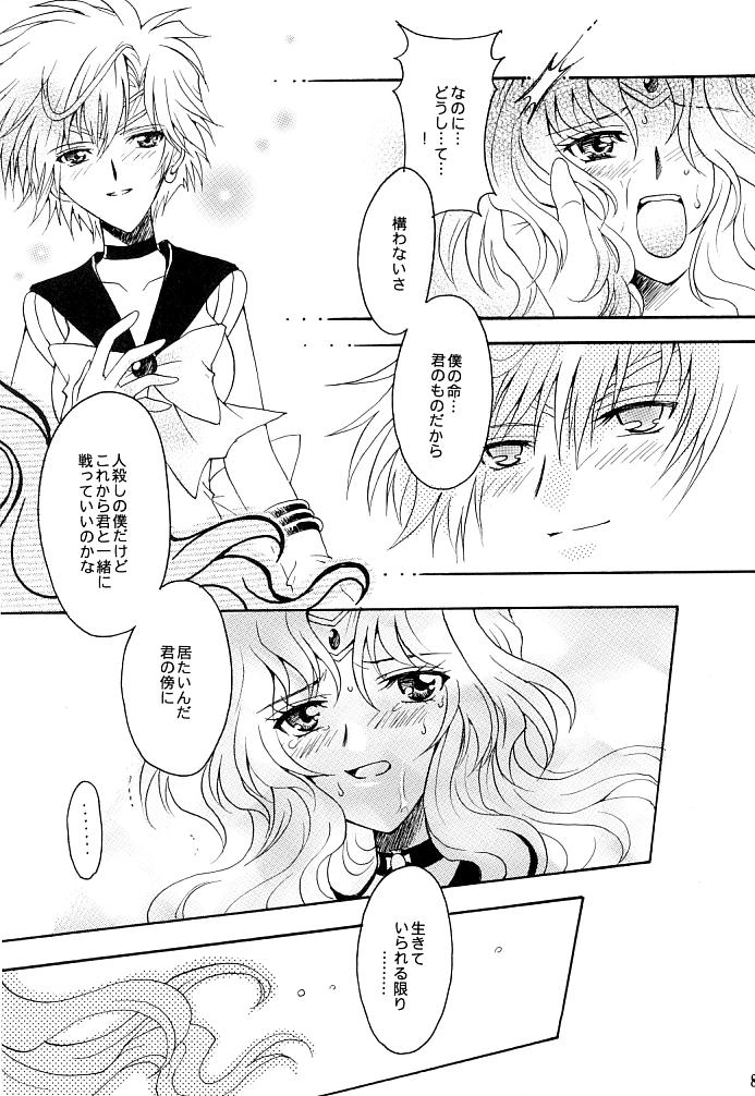 (C66) [小鳥事務所 (桜文鳥)] この生命誰のもの (セーラームーン)