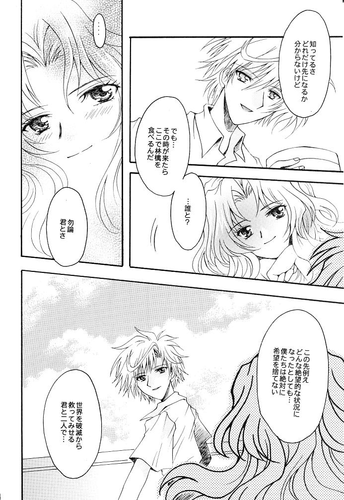(C66) [小鳥事務所 (桜文鳥)] この生命誰のもの (セーラームーン)