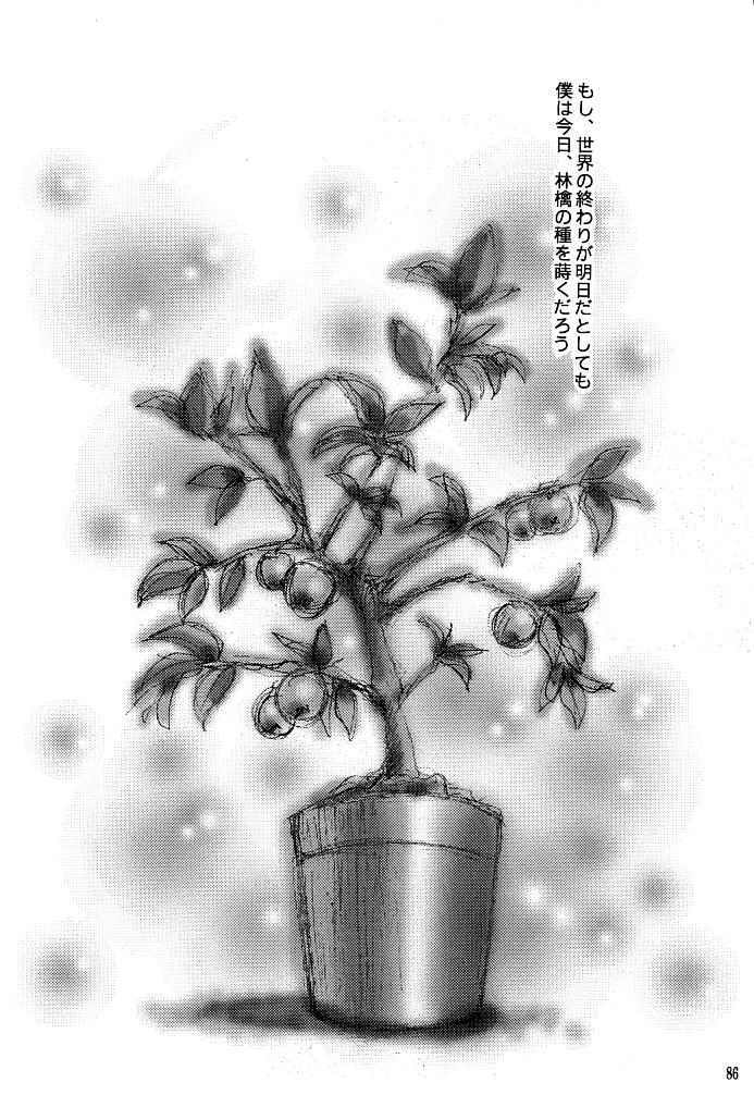 (C66) [小鳥事務所 (桜文鳥)] この生命誰のもの (セーラームーン)