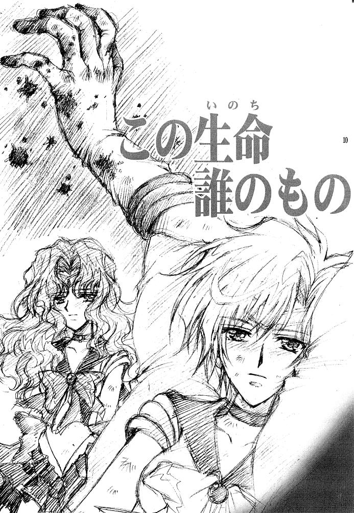 (C66) [小鳥事務所 (桜文鳥)] この生命誰のもの (セーラームーン)