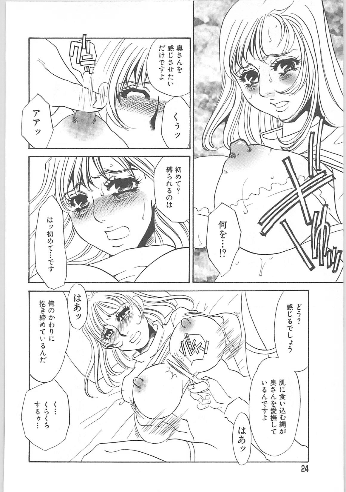 [海野やよい]義母奴隷奈美子