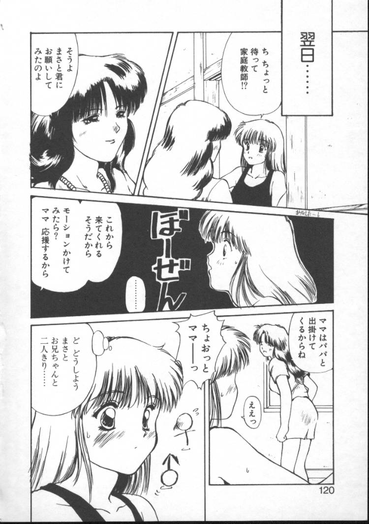 【にしき義統】妖精カウンター