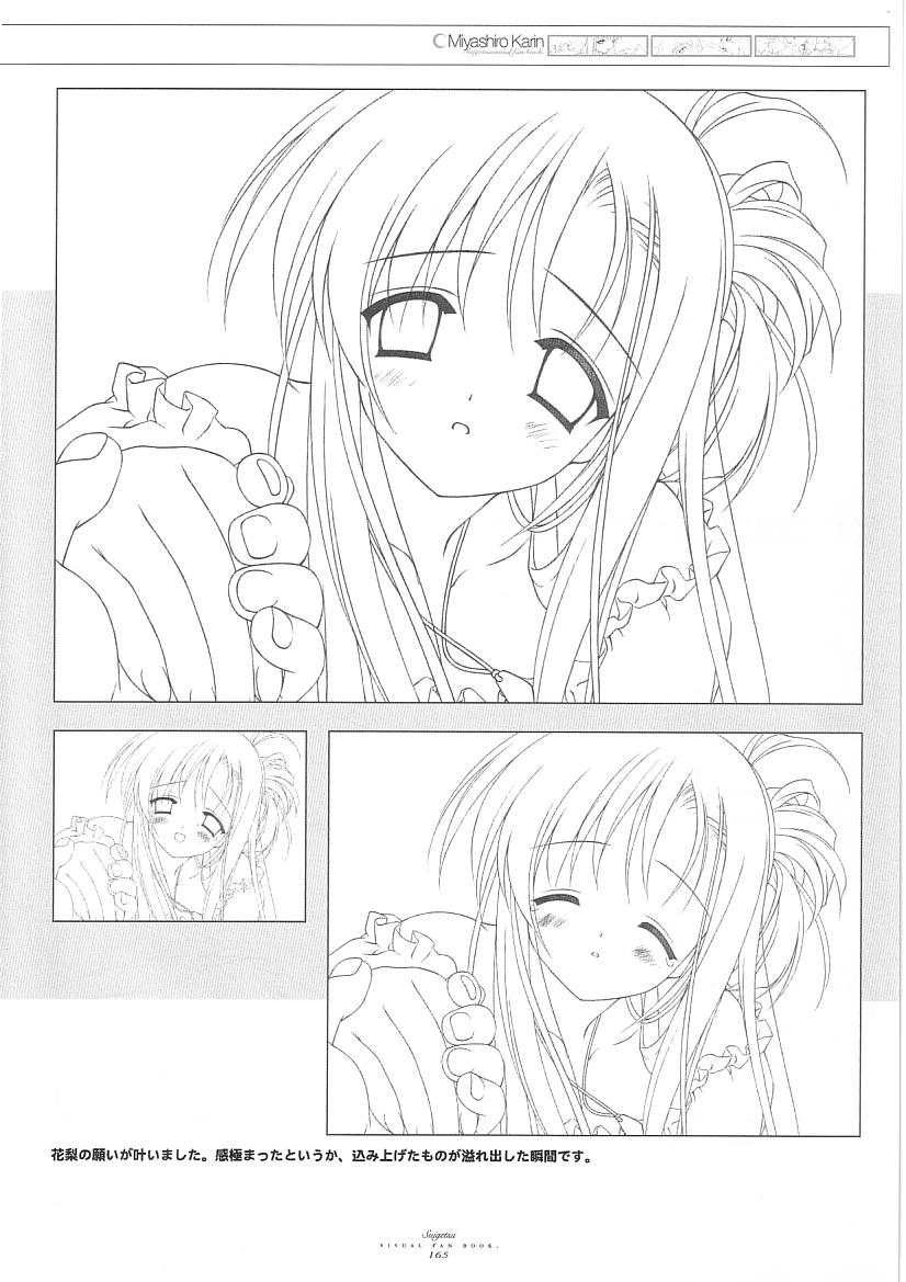 水月ビジュアルファンブック