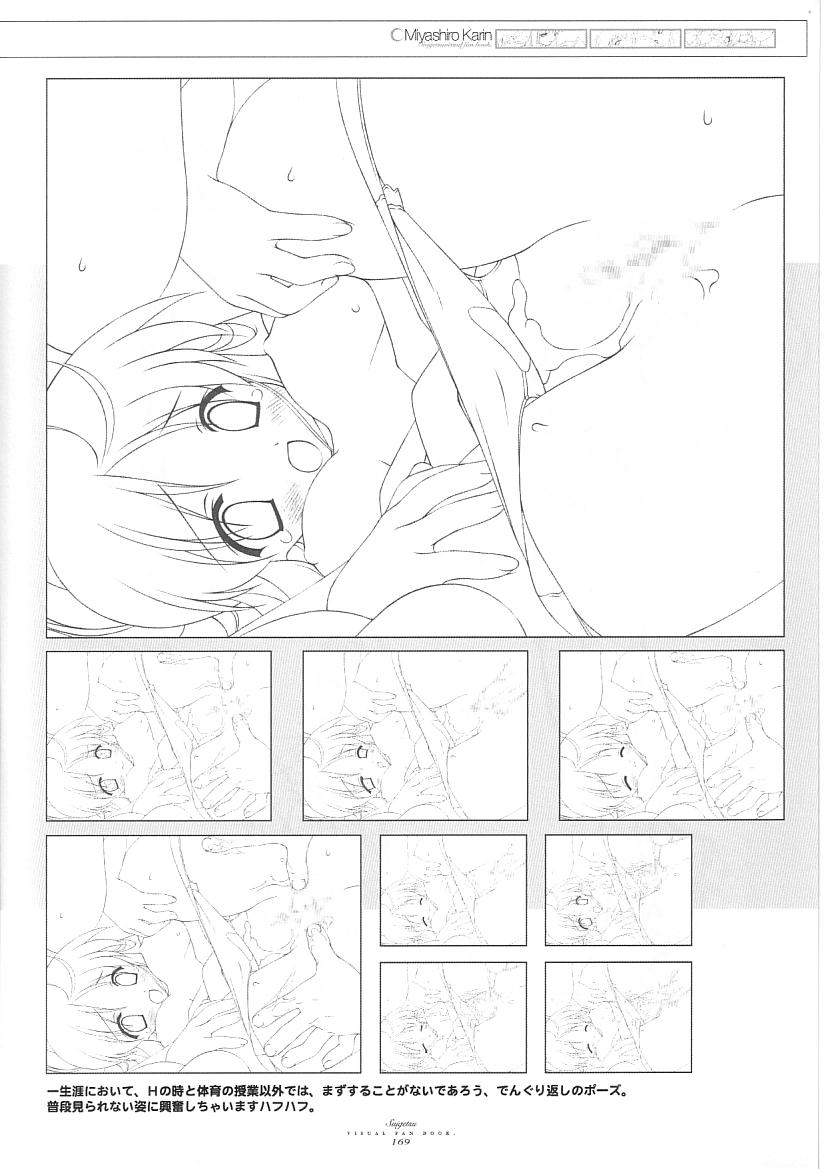 水月ビジュアルファンブック