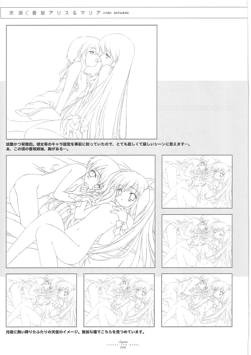 水月ビジュアルファンブック