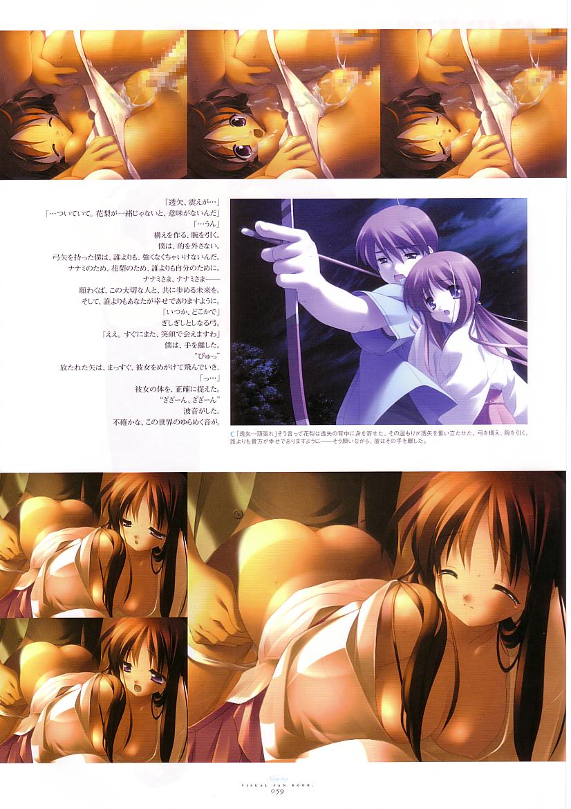 水月ビジュアルファンブック