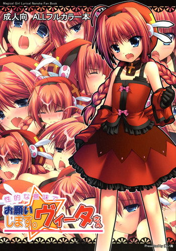 (C74) [浅い海 (浅海朝美)] お願いします。ヴィータさん (魔法少女リリカルなのは)