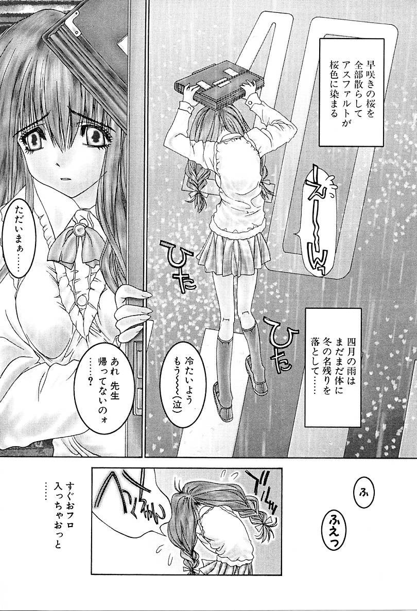 [古事記王子] カシミヤ