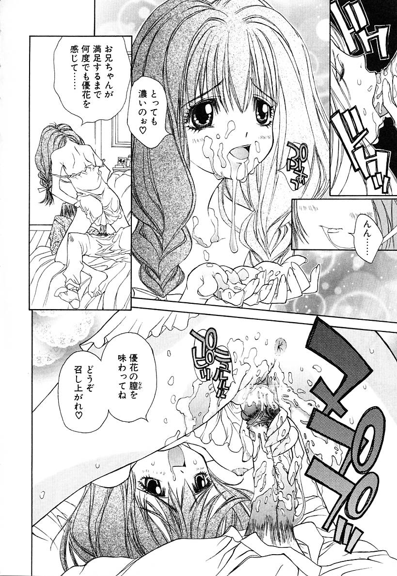 [古事記王子] カシミヤ