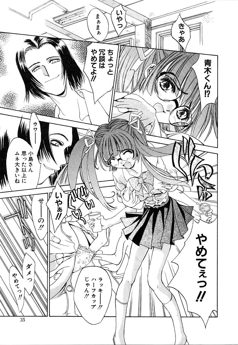 [古事記王子] カシミヤ