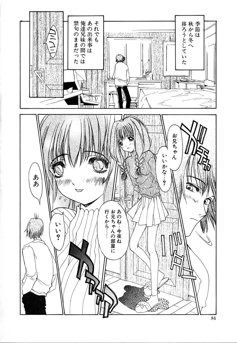 [古事記王子] カシミヤ