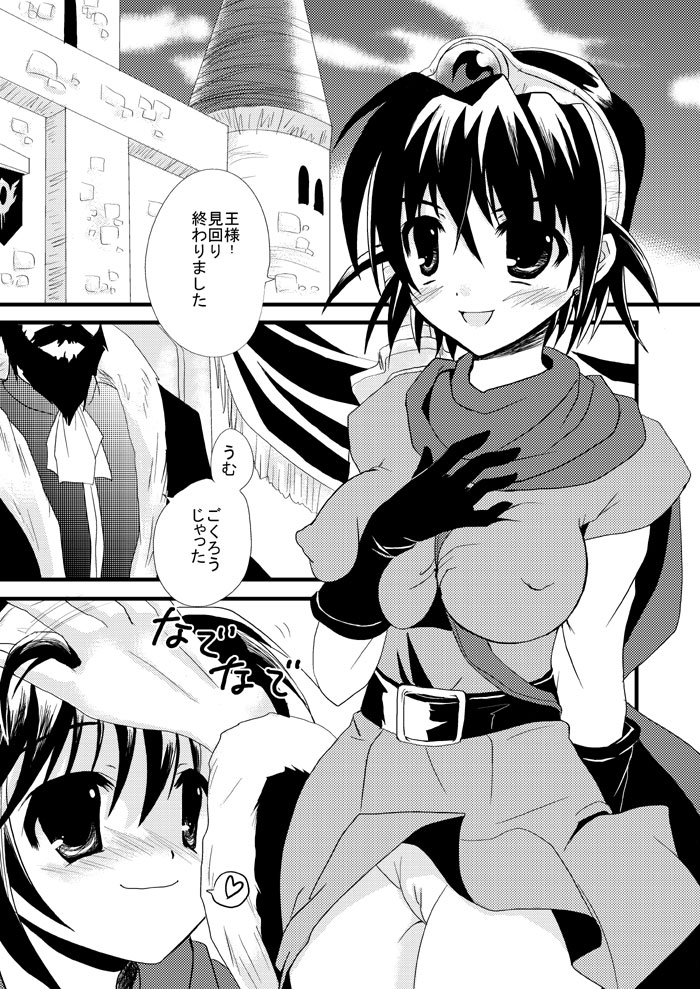 (サンクリ33) [サモエデスト (万国あゆや)] 絶対陵辱命令 (ドラゴンクエストIII)