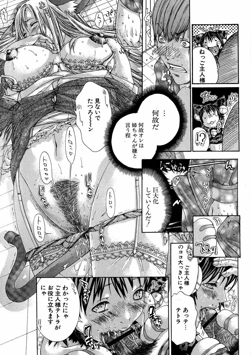 [宮崎摩耶] 宮崎摩耶大百科