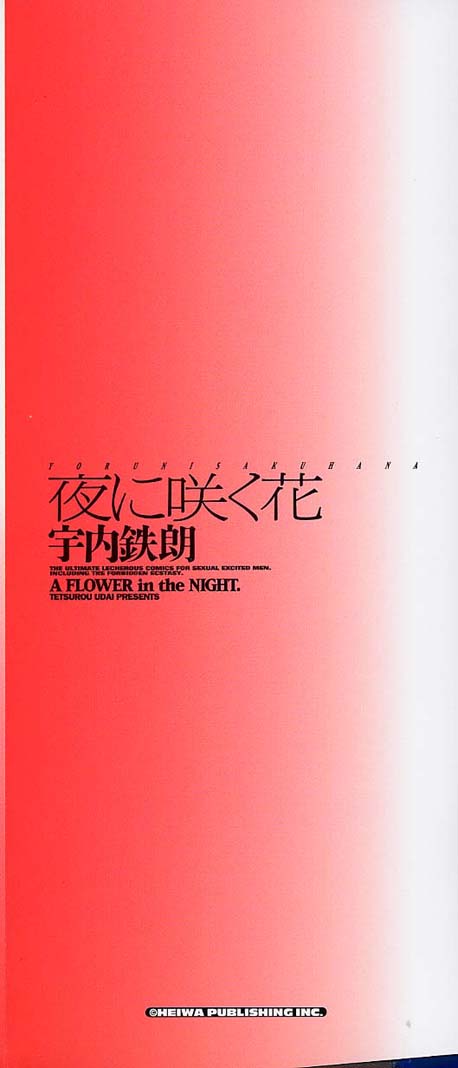 [宇内鉄朗] 夜に咲く花