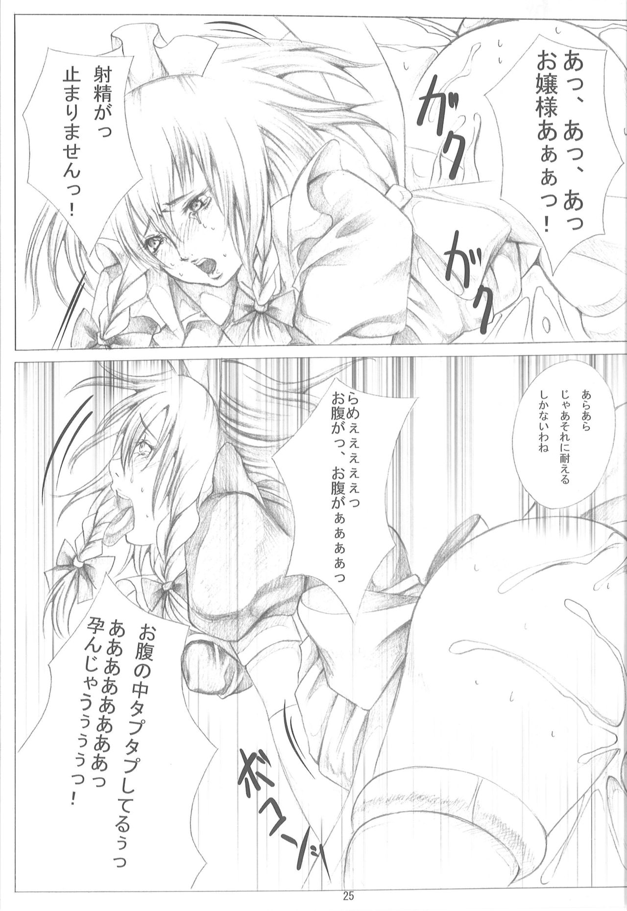[Loiter (うすけ坊)] 東方保健体育～鬼畜幼女と触手の孕ませ実習～ (東方Project)