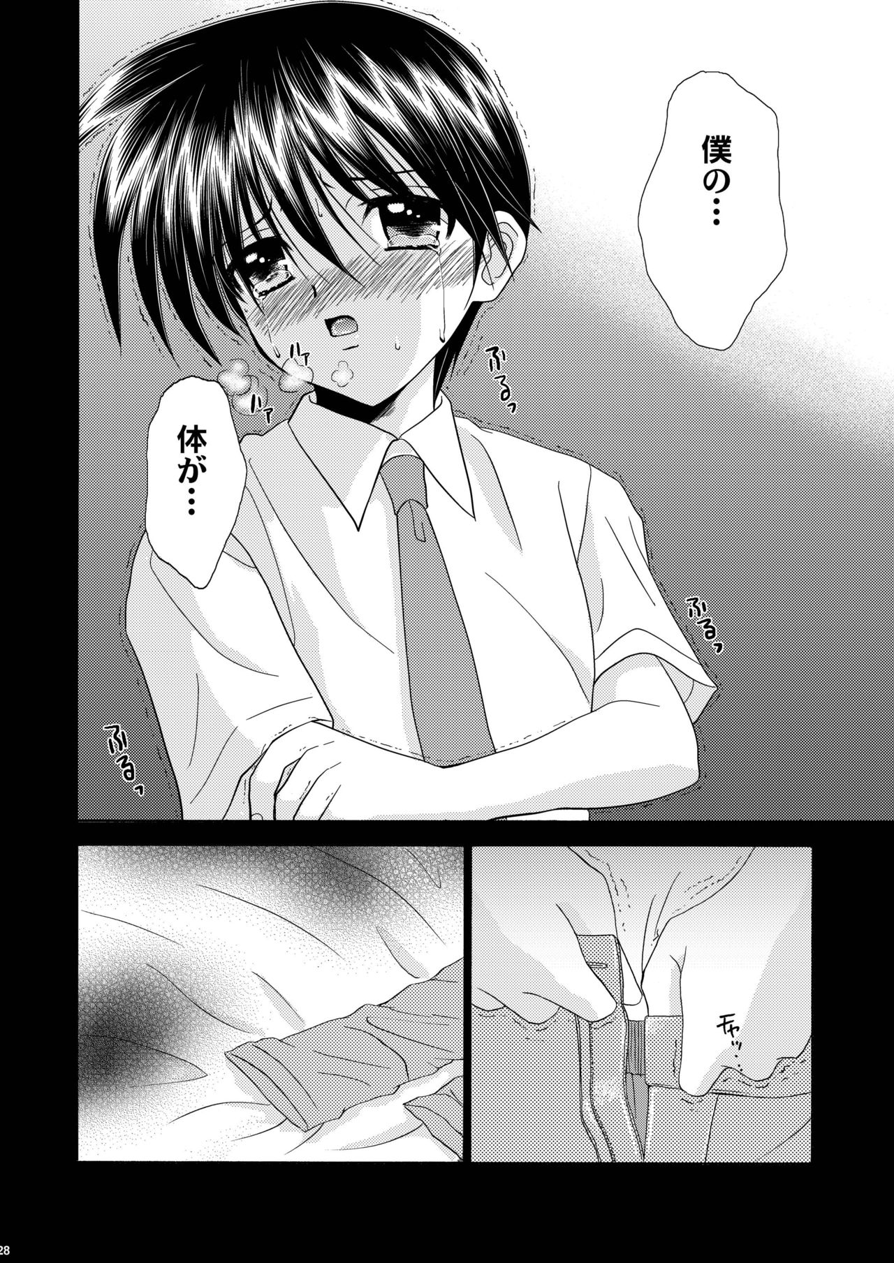 [スタジオDimple (紬きゅうた)] 美少年緊縛日誌10～11 [DL版]