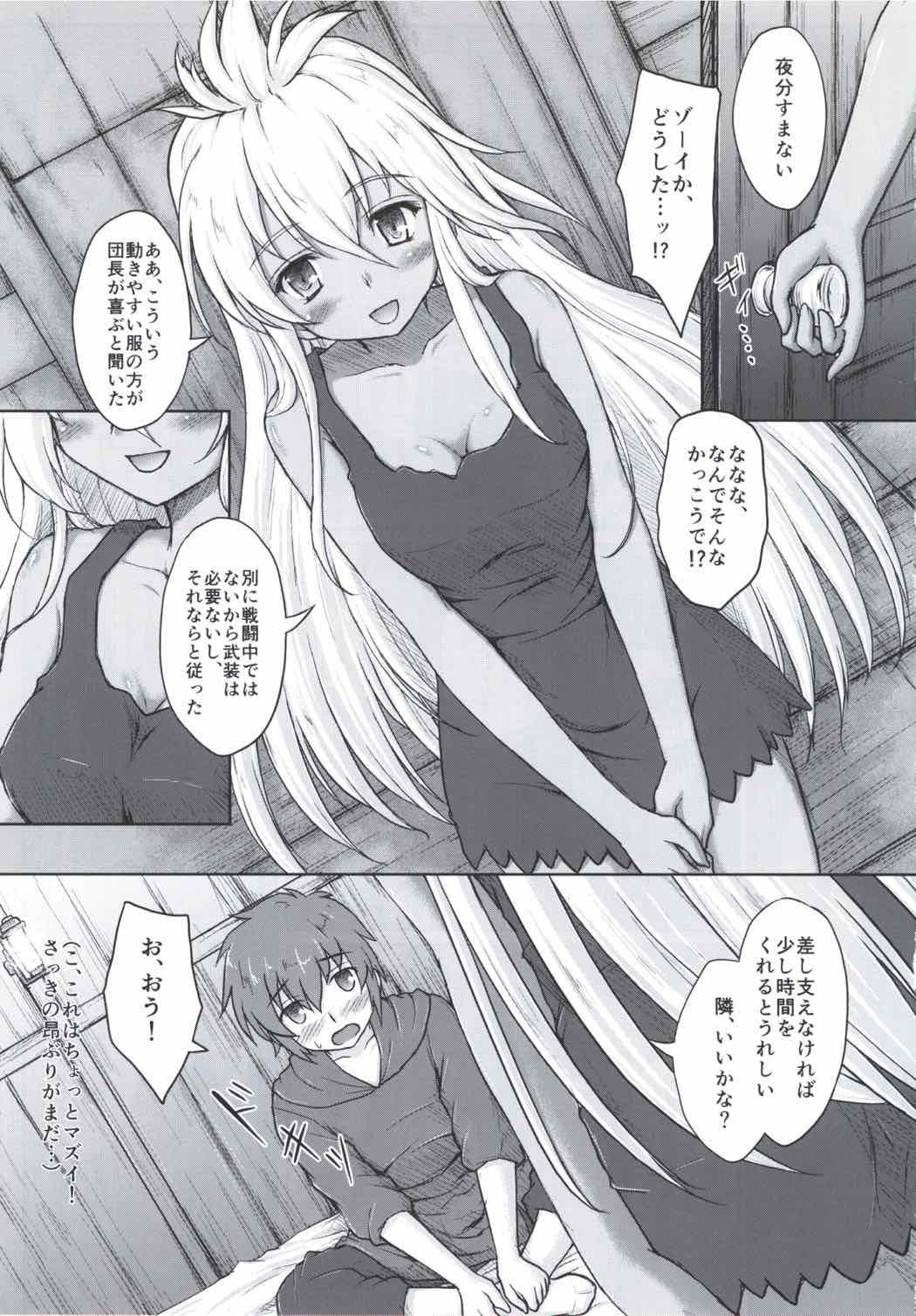 (C90) [にゅうたいぷ研究所 (理)] THE ORDER GRANDE chronicle (グランブルーファンタジー)